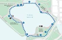 can-you-walk-around-the-tidal-basin-to-see-the-cherry-blossoms