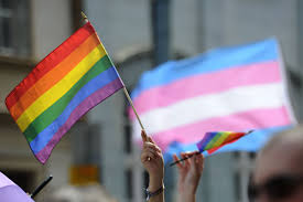 The flag was reduced to seven colors because hot pink dye was not commercially available, and the the flag is composed of nine horizontal stripes of equal width. Here S What A Good Lgbtq Ally Looks Like Vox