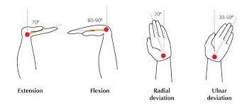 wrist supination and ation and