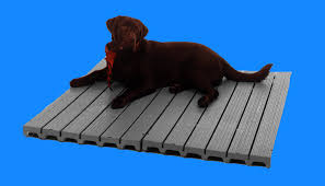 kenneldeck com wp content uploads 2023 03 dog deck