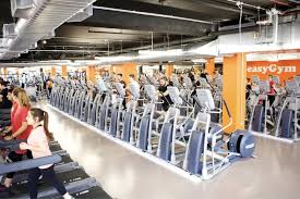4 best low cost gyms in london 2023 dose