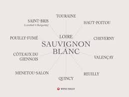Sancerre The Ultimate French Sauvignon Blanc Wine Folly