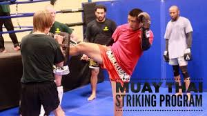 muay thai woodbridge va thai