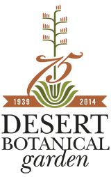 desert botanical garden senior