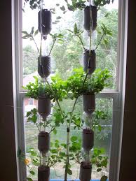 Window Farming Huisplanten