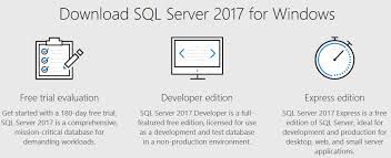 sql server 2017 free developer