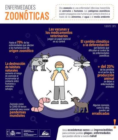La salud de las personas, los animales y los ecosistemas está estrechamente interrelacionada 👫🐻🏞️💚 ⚠️ Los cambios en estas relaciones pueden aumentar el riesgo de que aparezcan y se propaguen nuevas enfermedades
