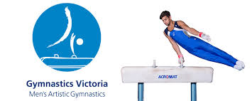 See more ideas about gymnastics equipment, gymnastics, gymnastics equipment for home. Men S Gymnastics