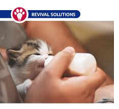 Supplementimg with formula can affect your own milk supply, esp if you are replacing night feeds with formula, as that is when your prolactin levels are highest. Avoid Bottle Feeding Issues In Kittens And Puppies