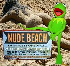 Kermit the Frog Nude Beach | Heather Gwinn | Flickr