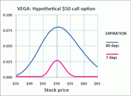 What The Pro Option Traders Know About Vega Martinkronicle