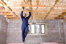 Basement Ceiling Basement Insulation