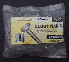 400 grams 25 mm galvanised clout nails