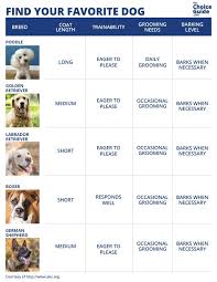 What Dog Should You Get This Chart Helps You Compare The