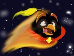 Angry Birds Space Bomb Illustration by Maggie TheBird