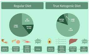 Ask The Expert Are Ketogenic Diets Healthy Should I Follow One  gambar png