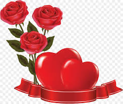 It comes to love, roses are the only flowers which are very popular. Rose Love Flowers