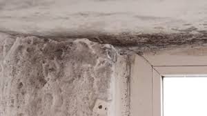 Typically, the basement becomes the storage area for boxes and so, it is hardly surprising you would fail to notice any leaks causing floors and walls to be damp. 3 969 Damp Stock Videos Royalty Free Damp Footage Depositphotos