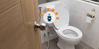 A Step By Step Guide To Toilet Removal