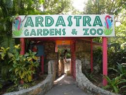 ardastra gardens zoo and conservation