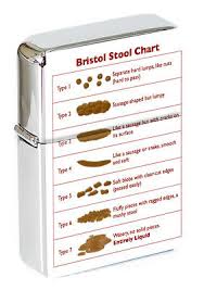 Bristol Stool Chart Flip Top Lighter 13 99 Picclick Uk
