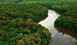 A Gazeta | Alemanha suspende parte de verba que iria para a Amazônia