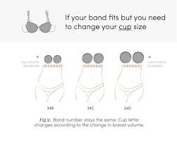 Sister Sizes The Bra Secret Every Woman Should Know