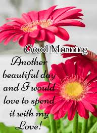 Good morning my love, i love you with all my strength, wake up sweetheart. Flower Quoted Good Morning Image Pix Trends