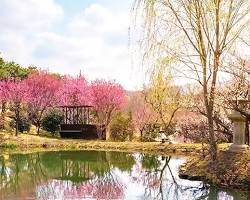 대구 군위군 사유원 풍경, AI로 생성