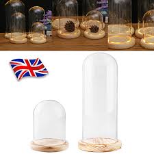 Glass Display Cloche Bell Jar Dome With