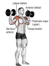 overhead dumbbell press muscle worked
