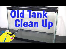 how to clean up an old aquarium you