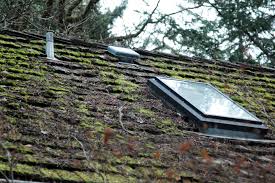 maintaining a moss free roof takes some