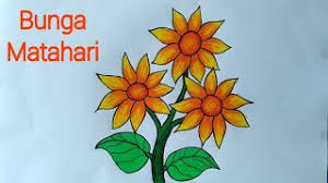 Stiker dinding dapat dilepas desain sketsa bunga matahari dengan. Menggambar Bunga Matahari Cara Menggambar Dan Mewarnai Bunga Yang Mudah Youtube