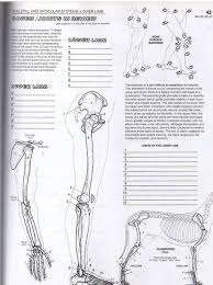 It leads to the generation of a nerve impulse. The Anatomy Coloring Book En Ingles De Kapit Elson Mercado Libre
