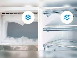 Best Frost Free Refrigerators 10 Best