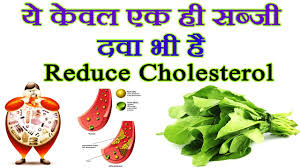 Cholesterol Diet Food List In Hindi Control Diet To Reduce