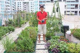Farmer Community Gardening Rooftop Garden