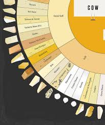 Our Cheese Wheel Chart Has 65 Delightful Cheeses From Around