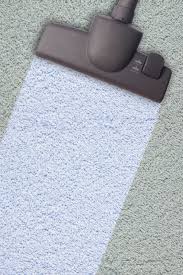 professional carpet cleaning plus