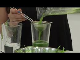 how to extract juice of wheatgr in a