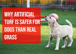 why chicago artificial turf is safer