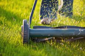 how to improve your lawn by mulching