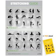 Buy Stretching Guide Poster Laminated Gym Planner For A