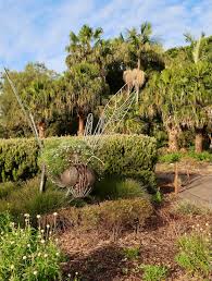 australian botanic garden mount annan