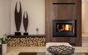 Euro Fireplaces Buller Insert Wood