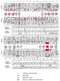 Dental Chart Definition Of Dental Chart By Medical Dictionary