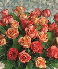 Its museum mile (fifth avenue along the park) is. Milwaukee Florist Flower Delivery By Alfa Flower Shop