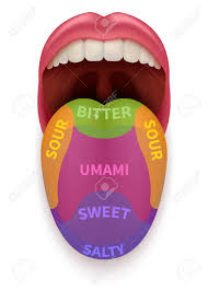 Realistic Tongue With Basic Taste Areas Tasting Map In Human