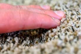 detect hidden water damage in carpets